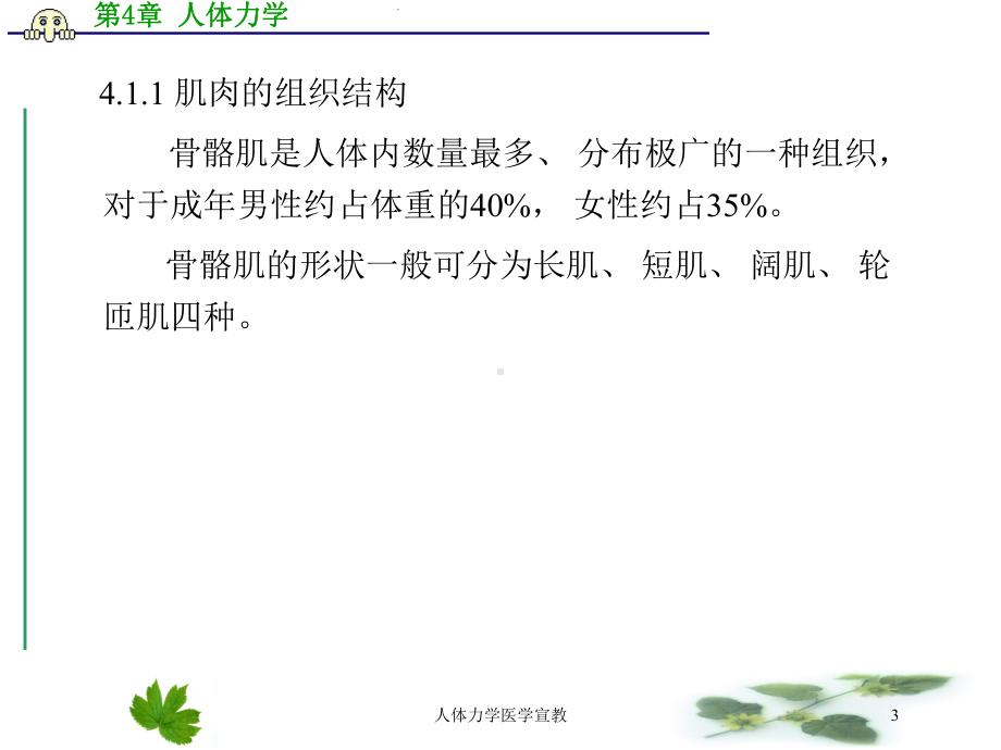 人体力学医学宣教培训课件.ppt_第3页