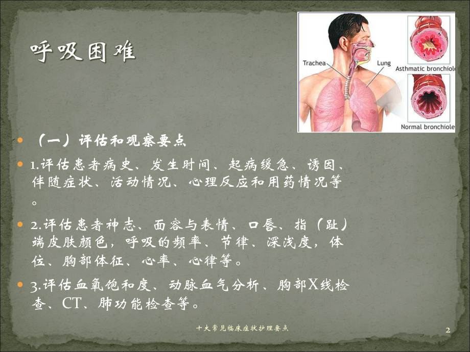 十大常见临床症状护理要点培训课件.ppt_第2页