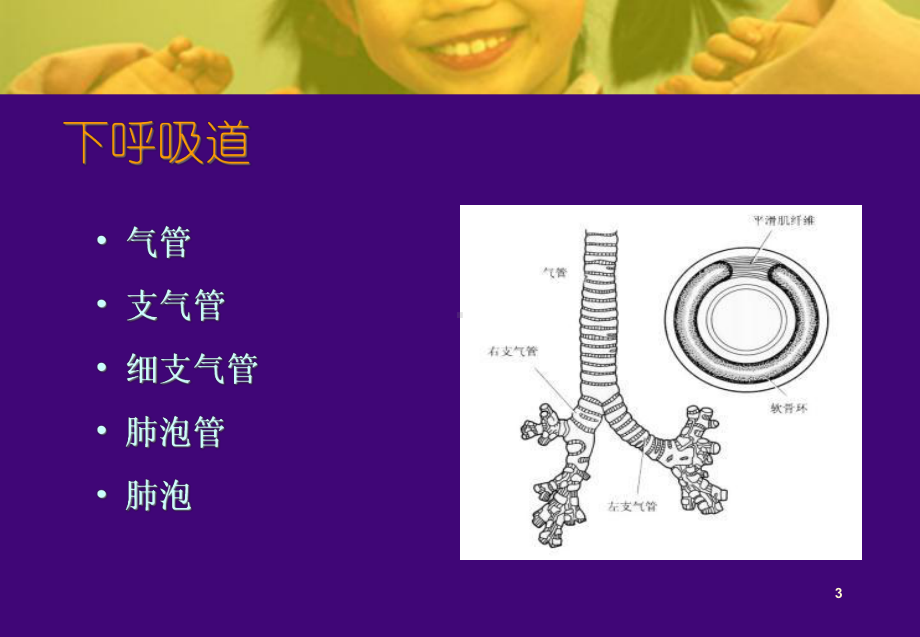 医学课件-儿童呼吸系统病的预防教学课件.ppt_第3页