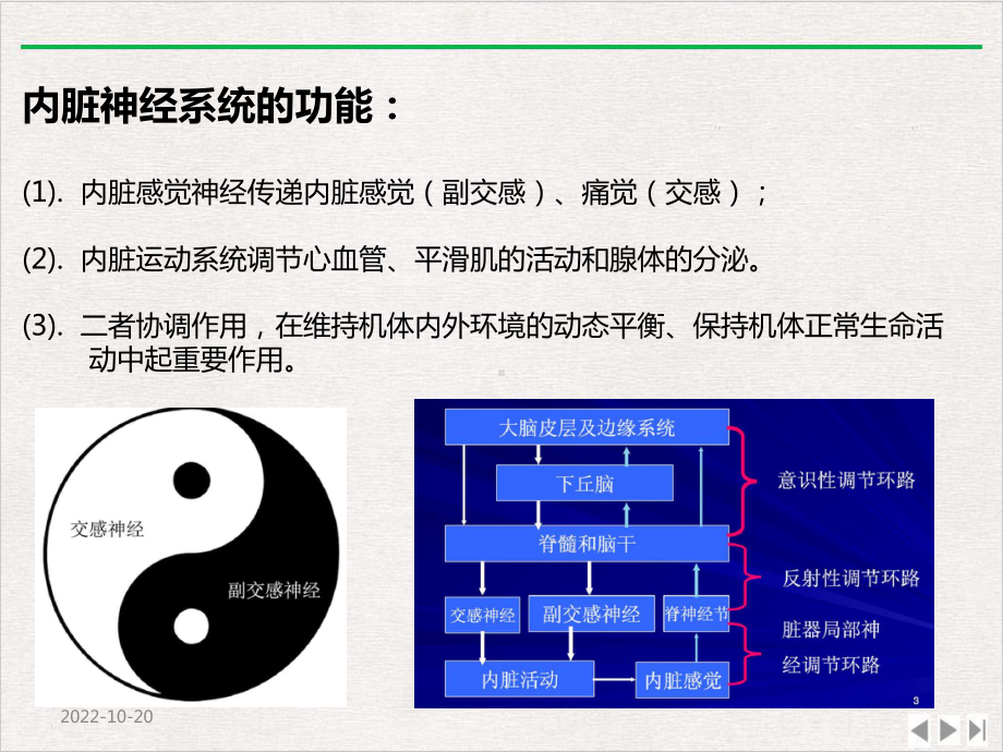 内脏神经系统解剖功能与临床应用版课件.ppt_第3页