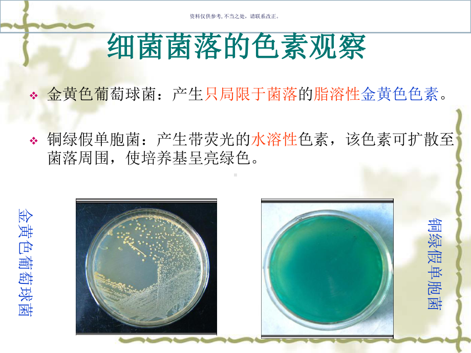 医学微生物实验课件.ppt_第2页