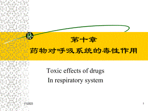 呼吸毒理课件.ppt