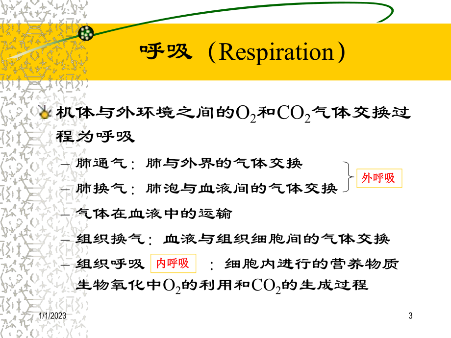 呼吸毒理课件.ppt_第3页