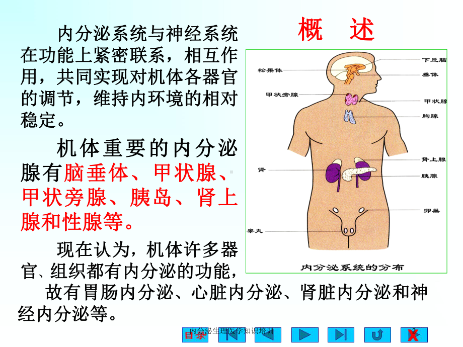 内分泌生理医学知识培训培训课件.ppt_第2页