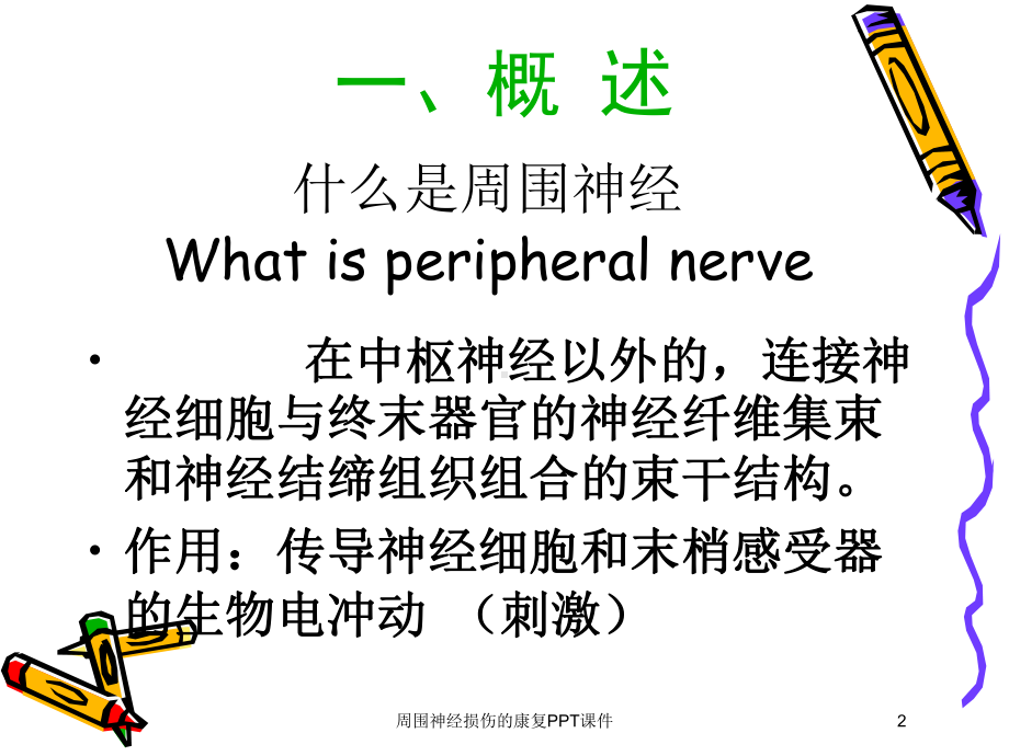 周围神经损伤的康复课件培训课件.ppt_第2页