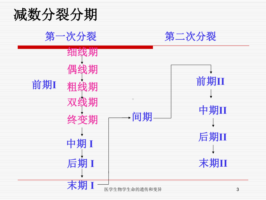 医学生物学生命的遗传和变异培训课件.ppt_第3页