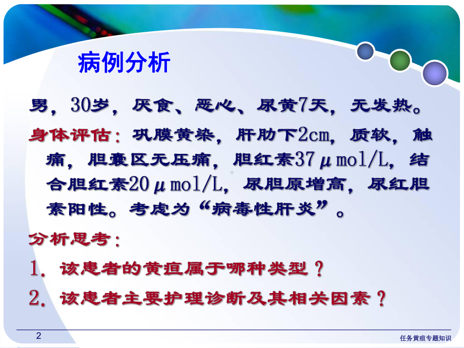 任务黄疸专题知识培训课件.ppt_第2页