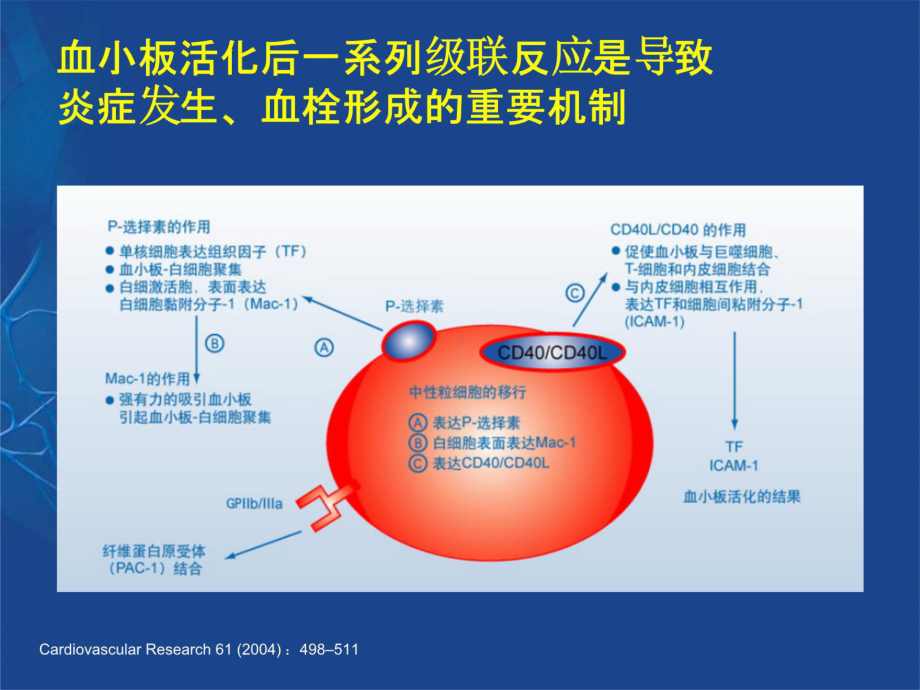 冠心病抗血小板治疗与出血对策课件.ppt_第3页