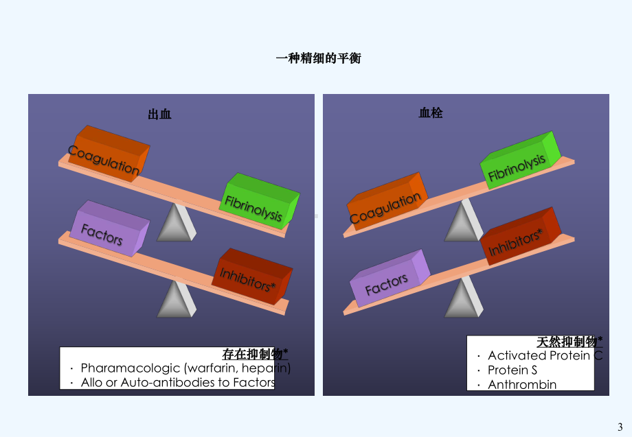 出凝血基础理论课件.ppt_第3页