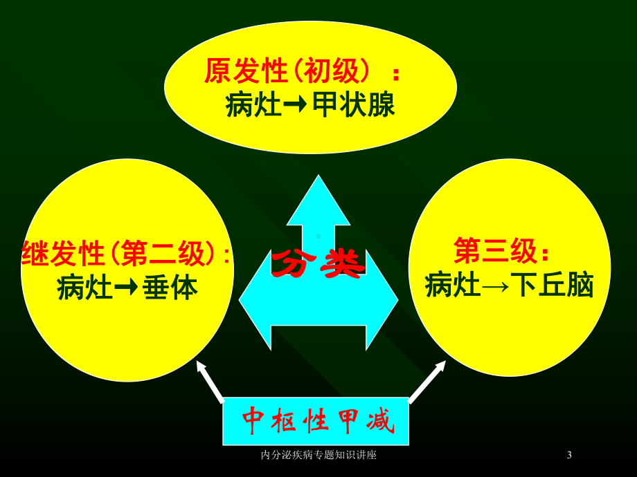 内分泌疾病专题知识讲座培训课件.ppt_第3页