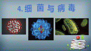 4.细菌和病毒（ppt课件）-2022新青岛版（六三制）六年级上册《科学》.pptx