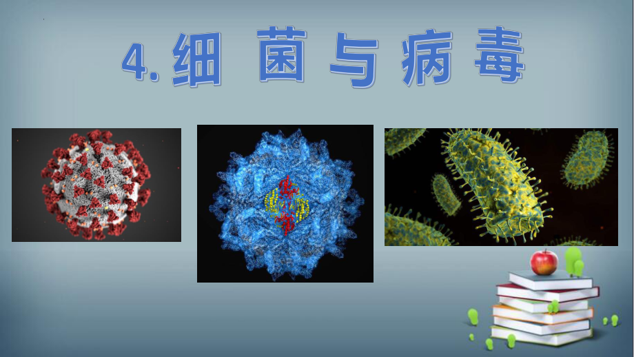 4.细菌和病毒（ppt课件）-2022新青岛版（六三制）六年级上册《科学》.pptx_第1页