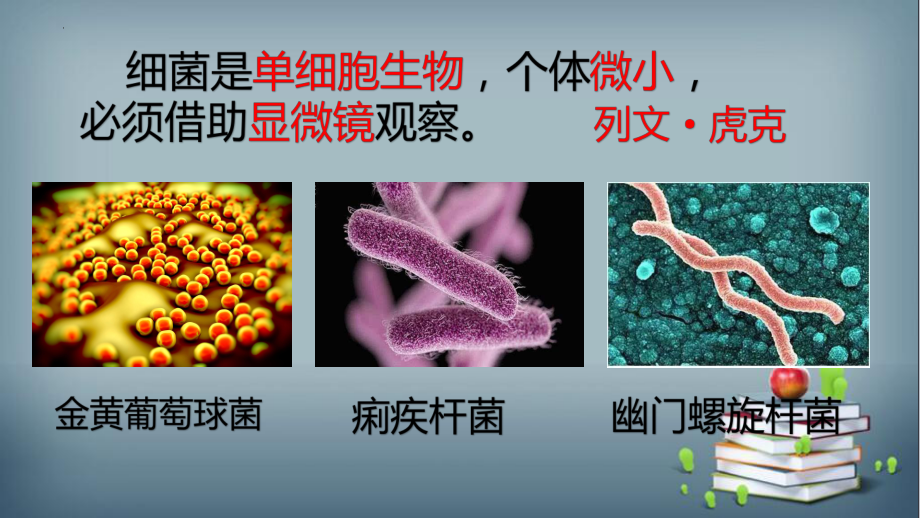 4.细菌和病毒（ppt课件）-2022新青岛版（六三制）六年级上册《科学》.pptx_第3页