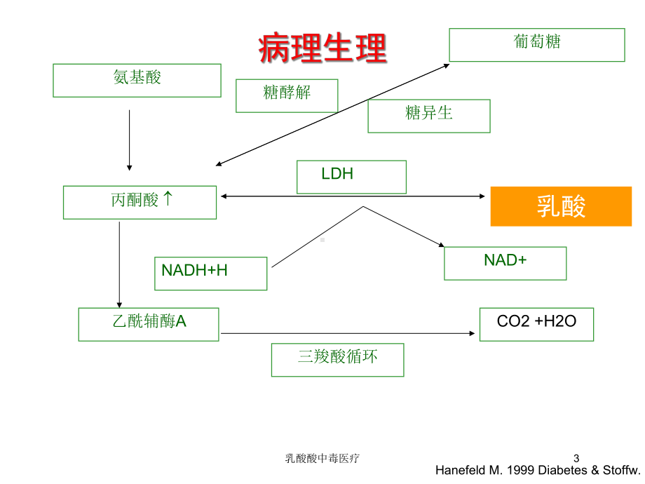 乳酸酸中毒医疗培训课件.ppt_第3页