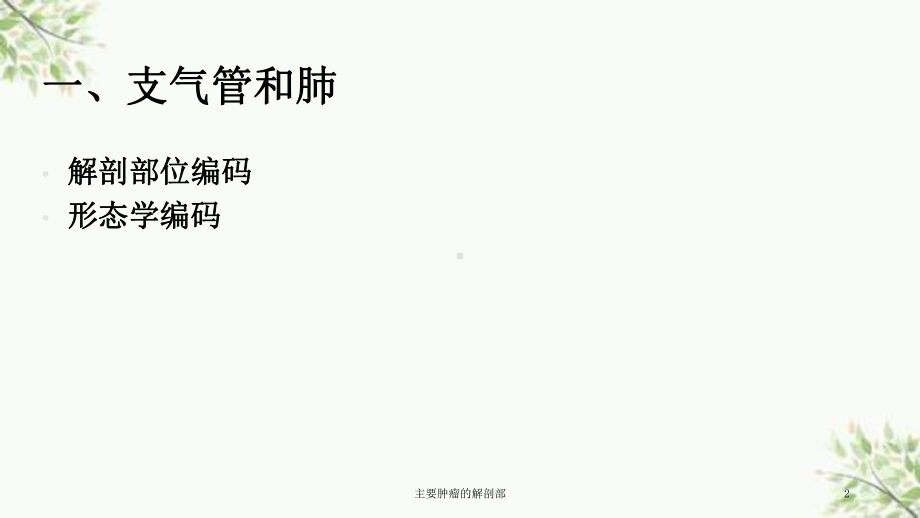 主要肿瘤的解剖部课件.ppt_第2页