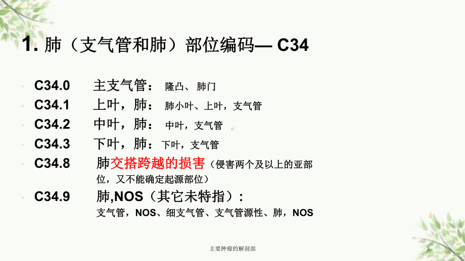 主要肿瘤的解剖部课件.ppt_第3页