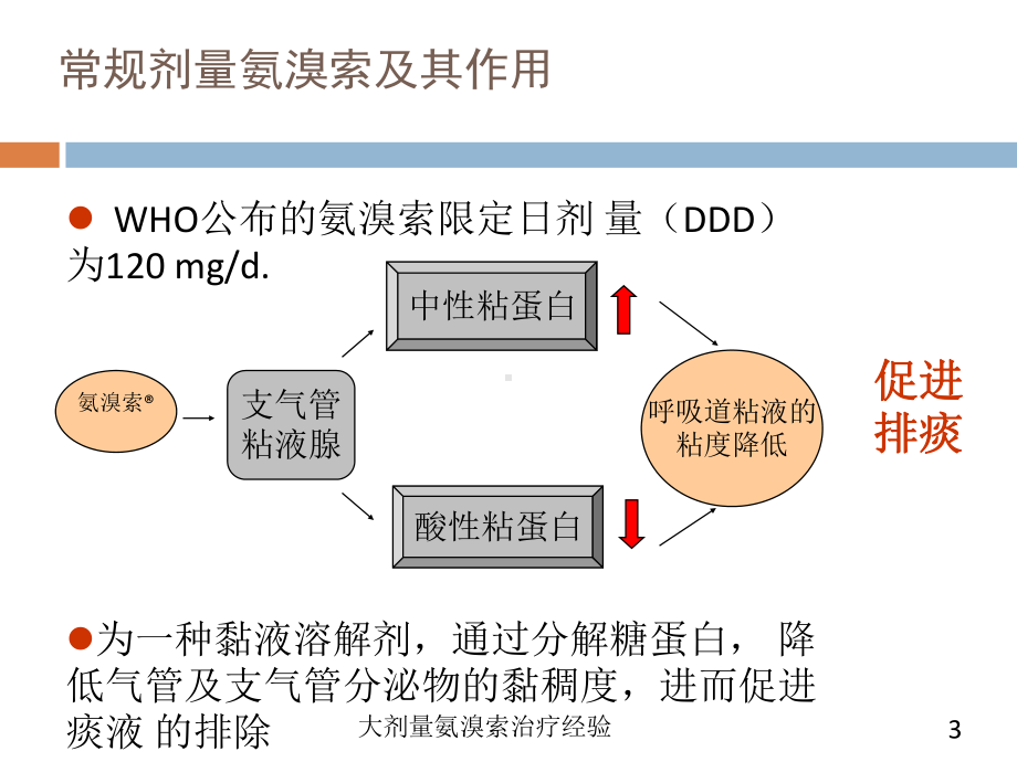 大剂量氨溴索治疗经验培训课件.ppt_第3页