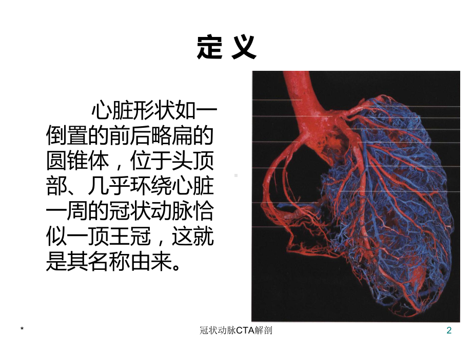 冠状动脉CTA解剖培训课件.ppt_第2页