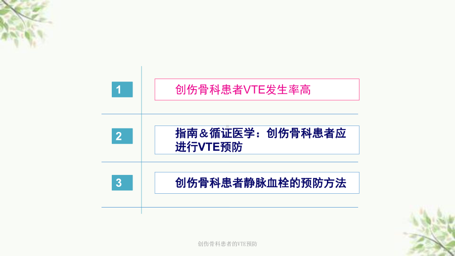 创伤骨科患者的VTE预防课件.ppt_第2页