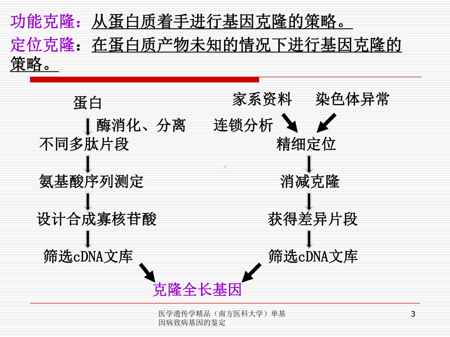 医学遗传学单基因病致病基因的鉴定课件.ppt_第3页