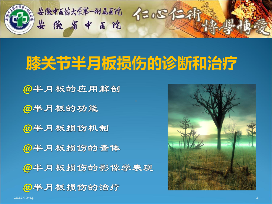 半月板损伤的诊断与治疗课件.ppt_第2页