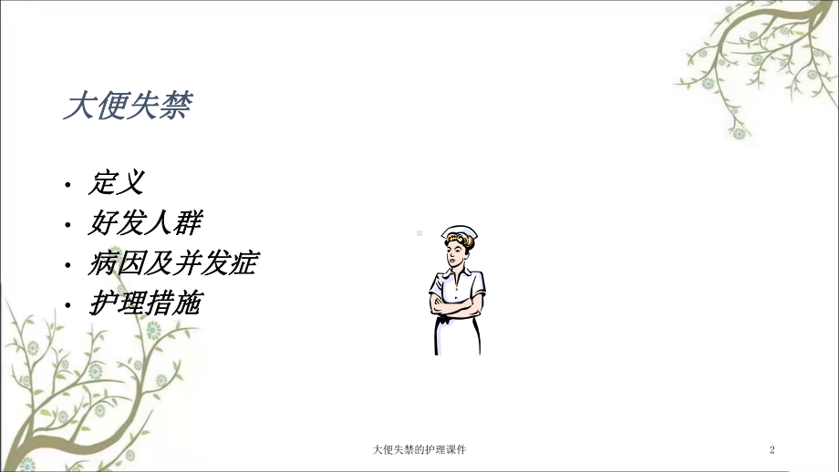 大便失禁的护理课件.ppt_第2页