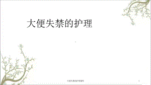 大便失禁的护理课件.ppt