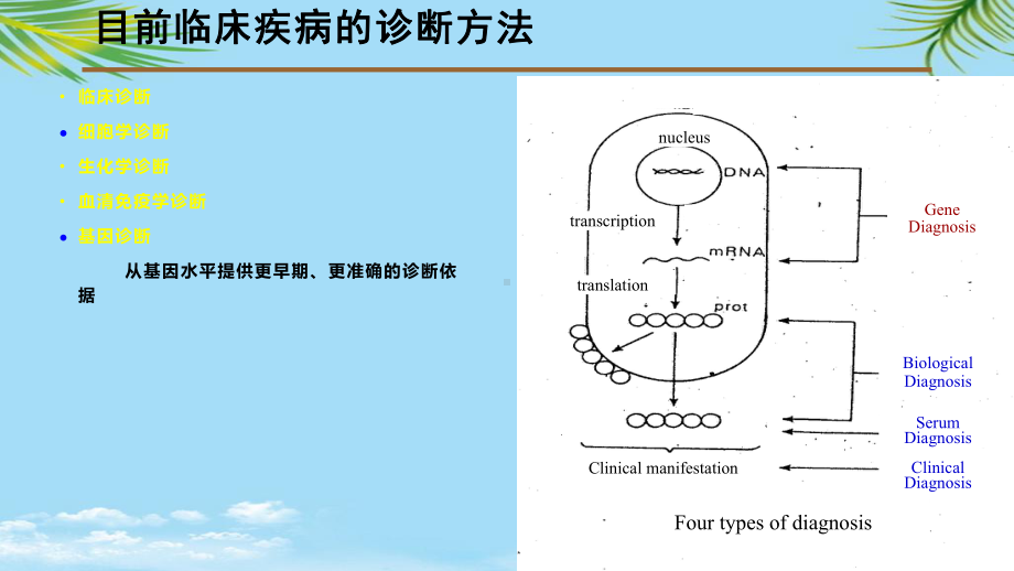 在基因水平诊断疾病研究生全面课件.pptx_第3页