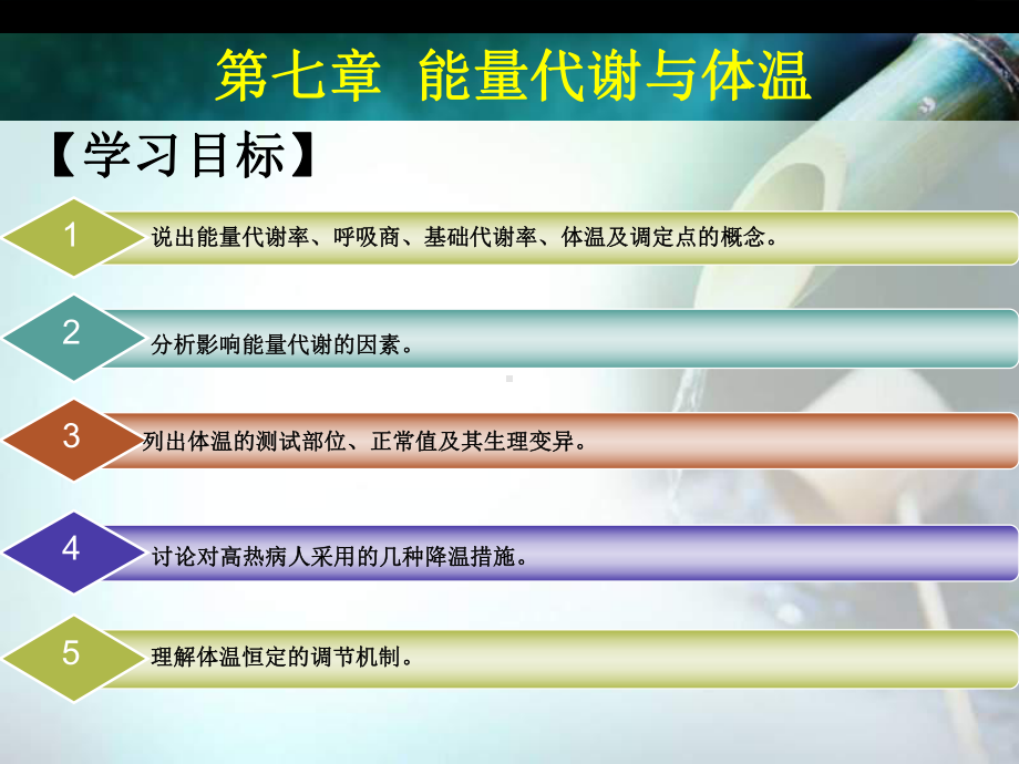 医学能量代谢医学培训课件.ppt_第2页