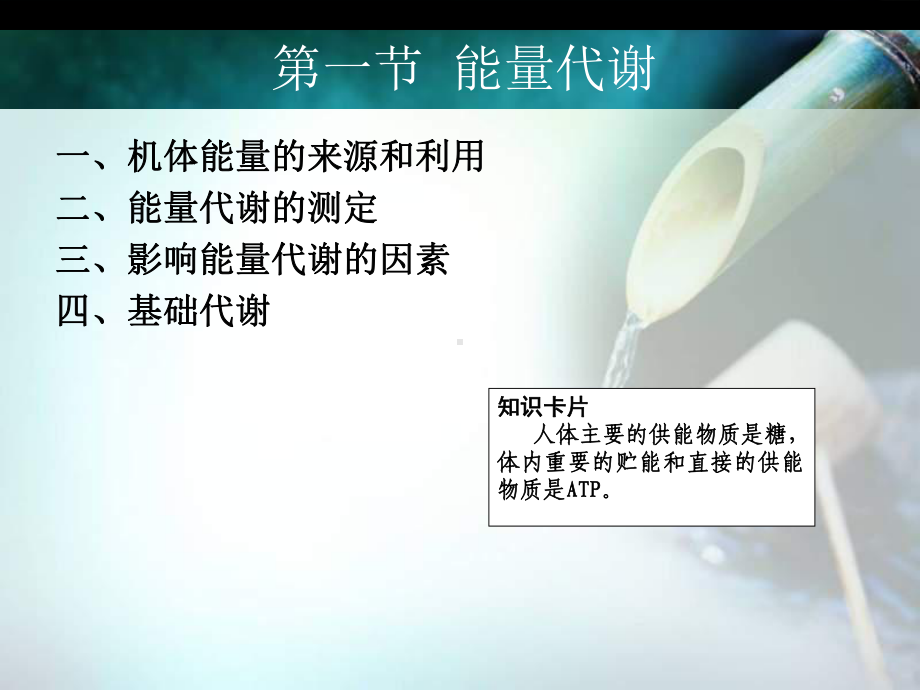 医学能量代谢医学培训课件.ppt_第3页