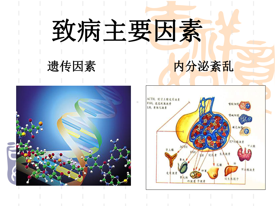 子宫肌瘤乳腺小叶增生与蜂胶课件.ppt_第2页