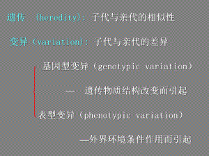 医学微生物学6遗传变异人卫课件.pptx