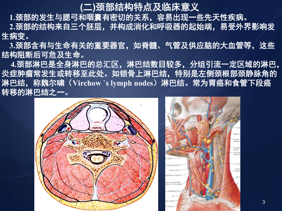 医学课件-颈部的应用解剖课件.ppt_第3页