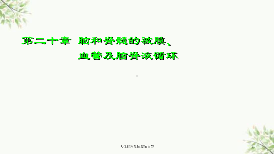 人体解剖学脑膜脑血管课件.ppt_第1页