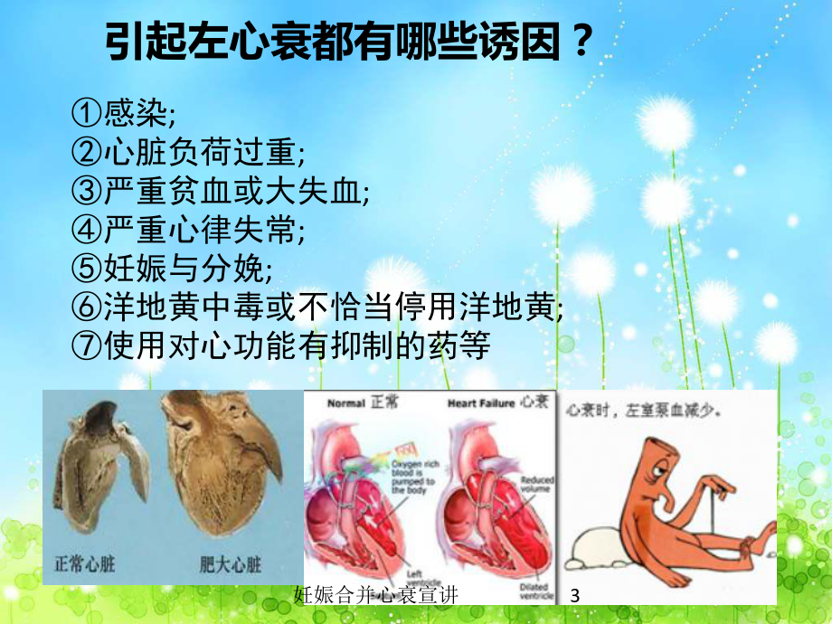 妊娠合并心衰宣讲培训课件.ppt_第3页