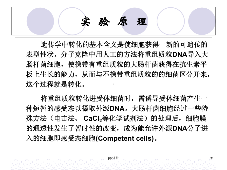 实验三-重组质粒DNA转化大肠杆菌-课件.ppt_第3页