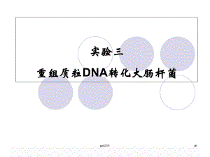 实验三-重组质粒DNA转化大肠杆菌-课件.ppt