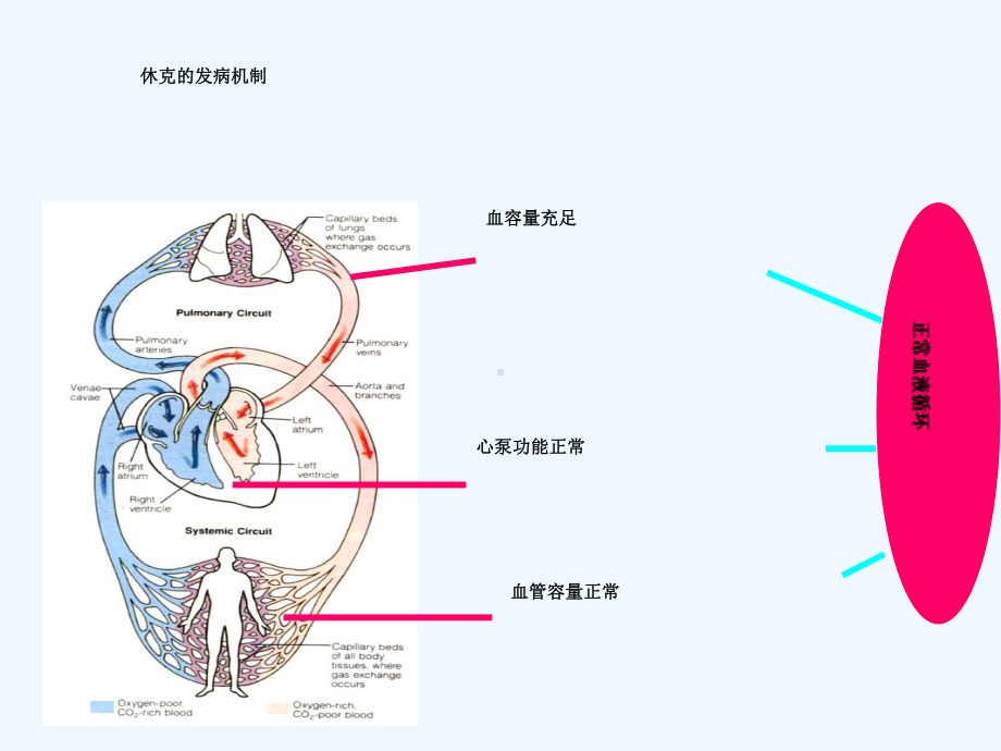 休克的临床监测课件.ppt_第2页