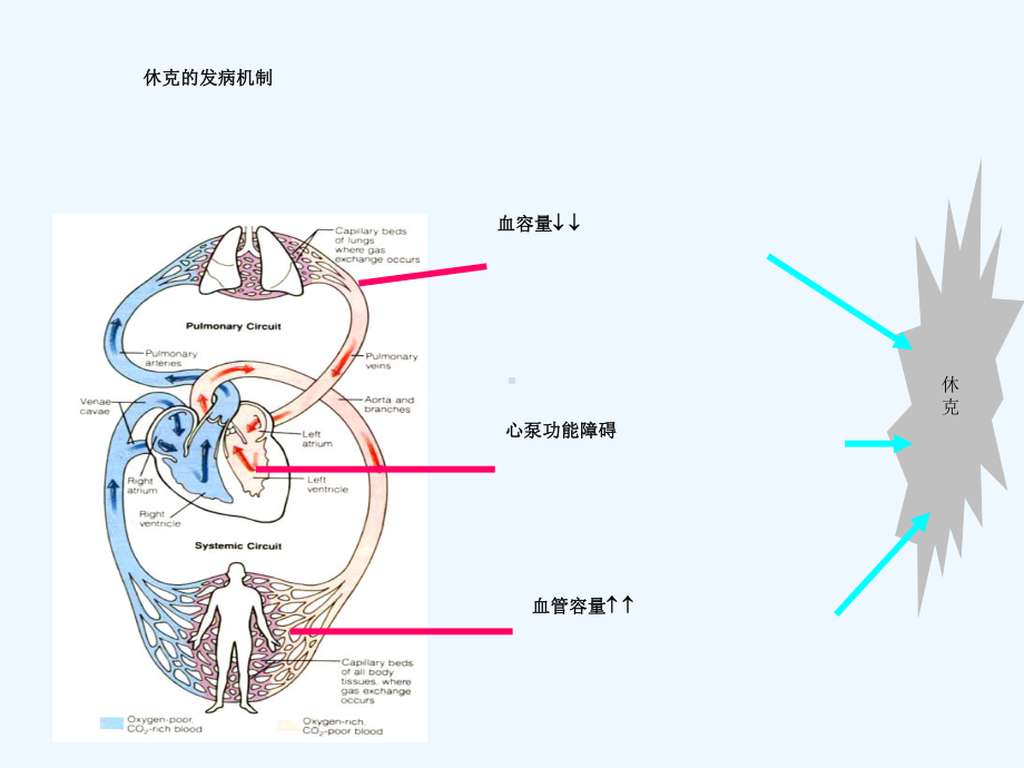 休克的临床监测课件.ppt_第3页