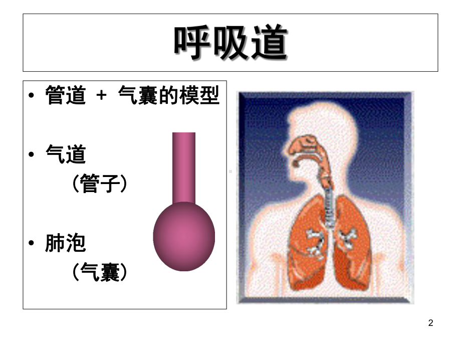 呼吸力学的监测课件-2.ppt_第2页