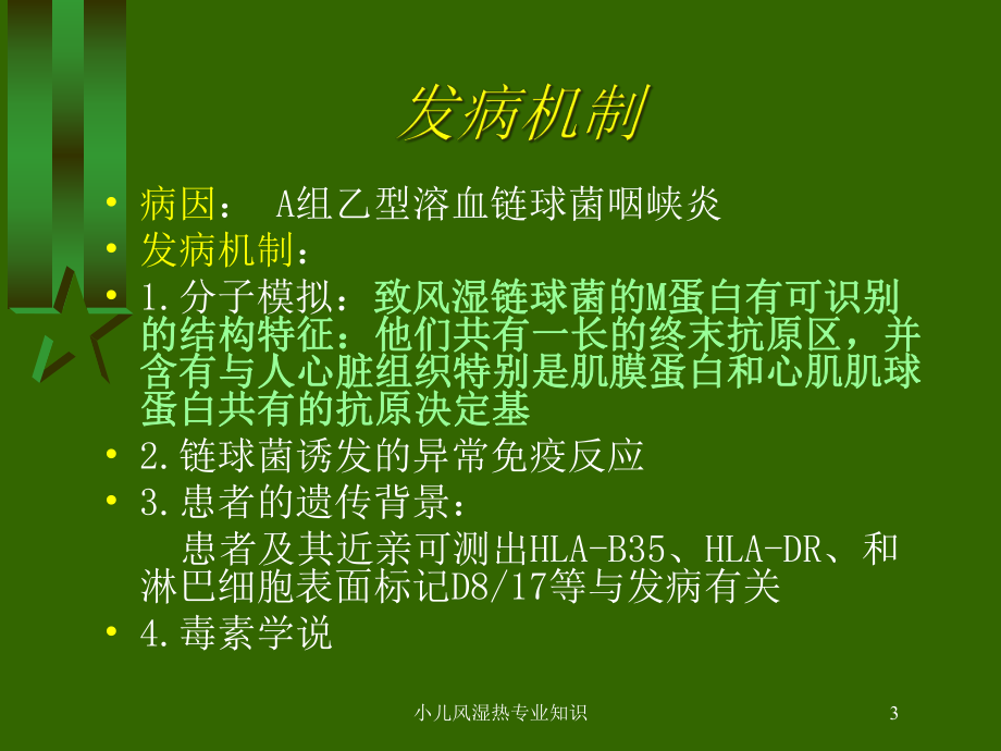 小儿风湿热专业知识培训课件.ppt_第3页