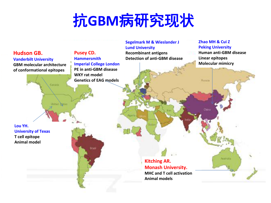 医学课件抗肾小球基底膜GBM病.ppt_第3页