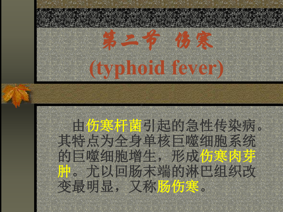 传染病伤寒菌痢学时课件.pptx_第2页