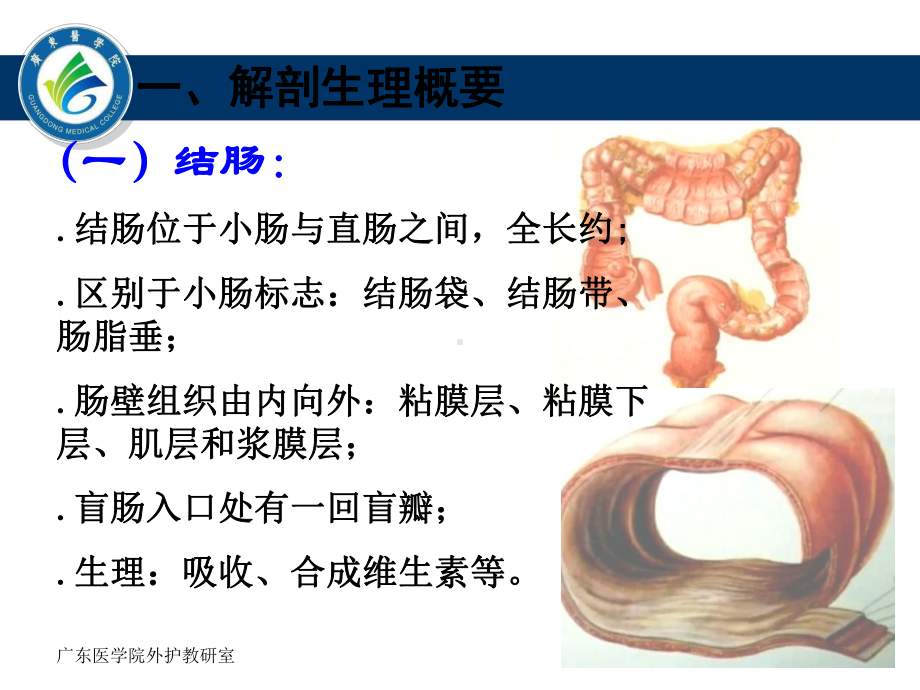 大肠癌及人工肛门护理课件.ppt_第3页