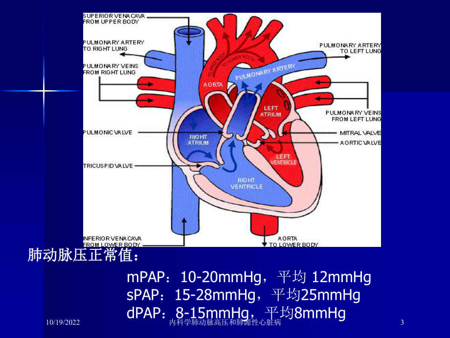 内科学肺动脉高压和肺源性心脏病课件.ppt_第3页