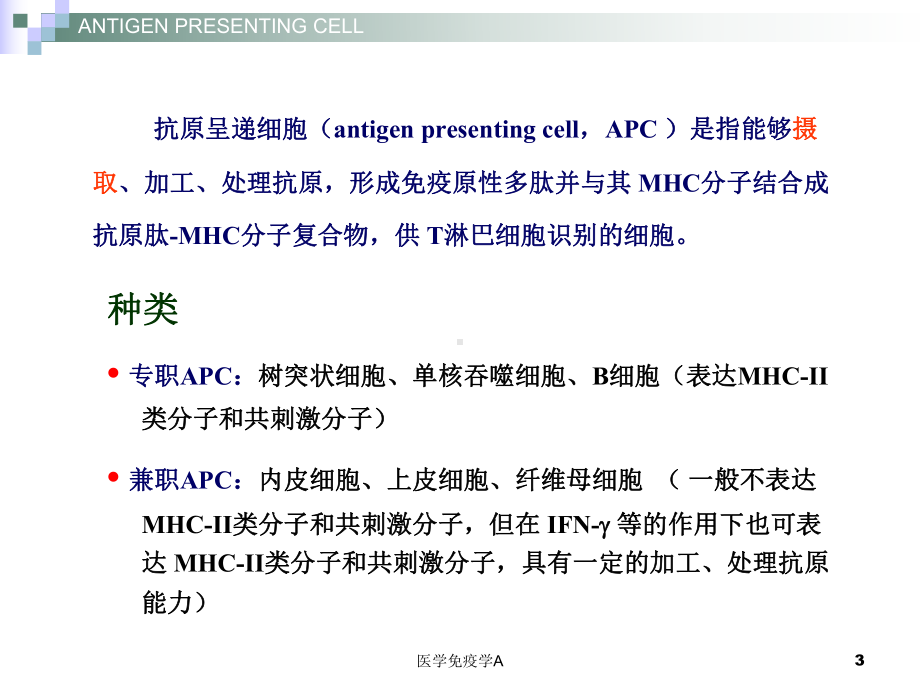 医学免疫学A课件.ppt_第3页