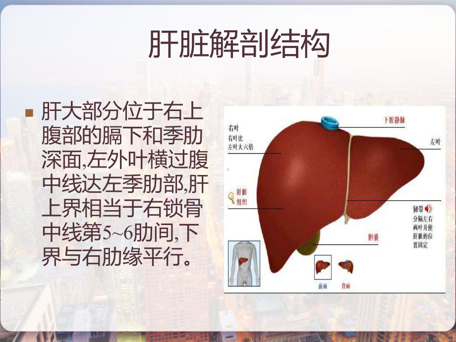 介绍原发性肝癌-课件.pptx_第2页