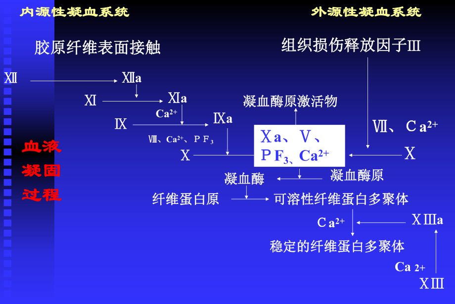 医学课件凝血和抗凝血平衡紊乱.ppt_第3页