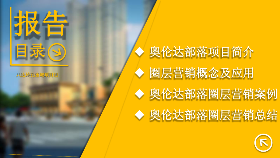 奥伦达部落圈层营销分享课件.pptx_第2页