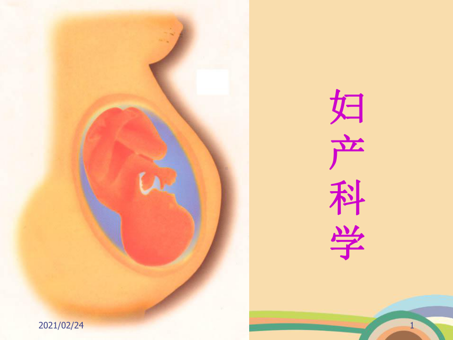 医药类多胎妊娠课件.ppt_第1页